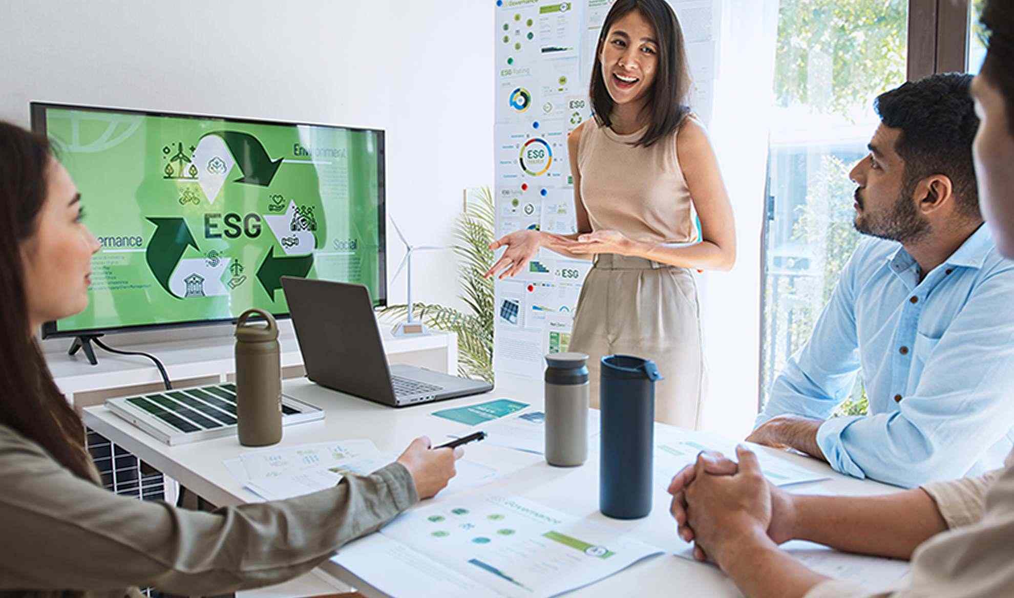 woman presents strategy to sustainability